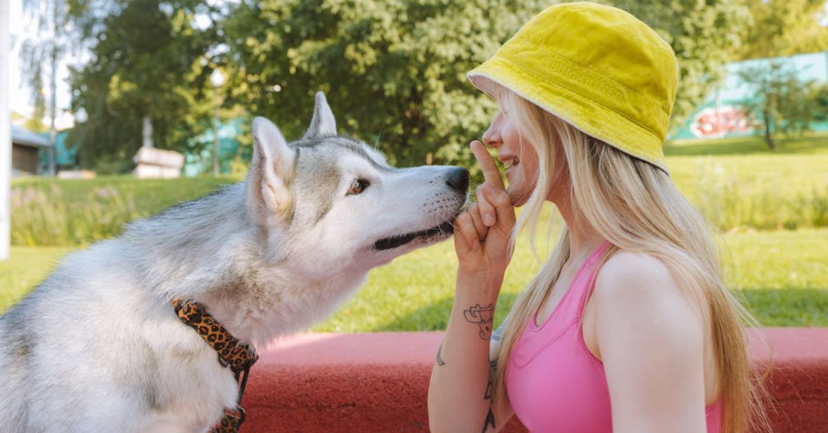 15 Dog Breeds That Might Be Too Much To Handle - City State Zip Code