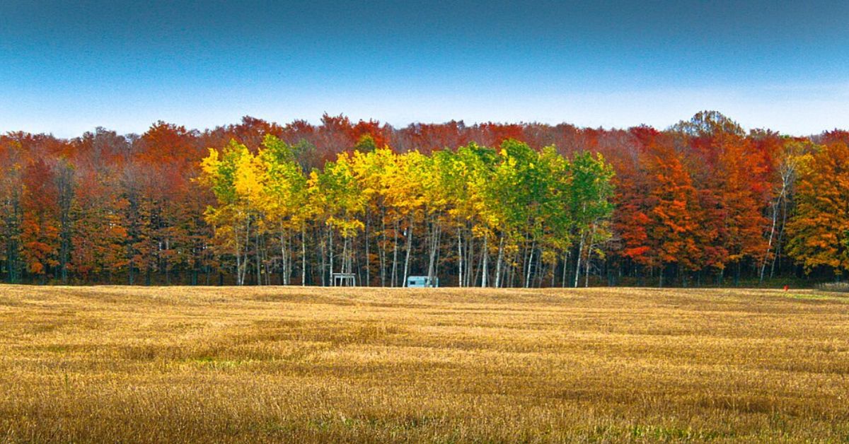 Leif and Evonne/Wikimedia Commons