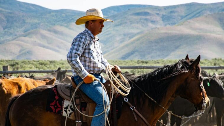 Photography of a Person Riding Horse