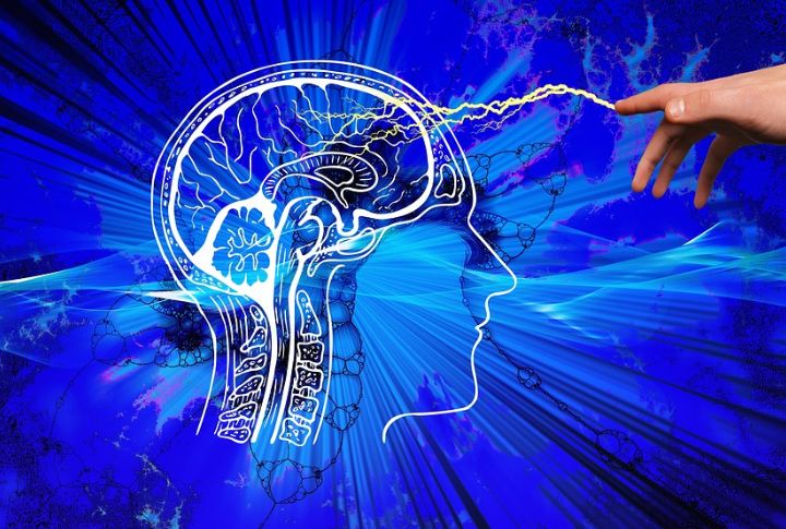 Myth: Humans Tap Into Only A Fraction Of Their Brain’s Power