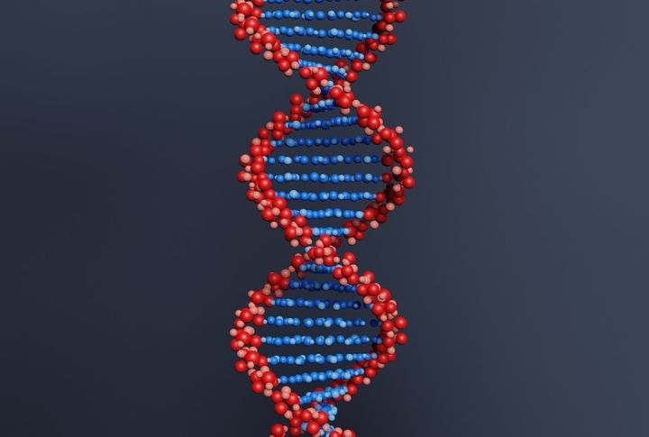Fact: DNA Is Unique To Each Person Except Identical Twins
