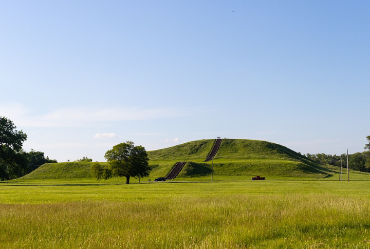 Their Monks Mound Was Made Of Soil