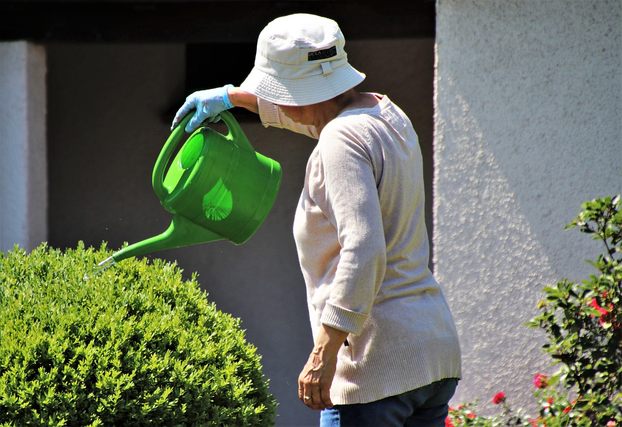 hat, watering can, pensioner, gardening, summer, garden, casting, plants, relaxation, senior, nature, watering, botany, hot, sunny, in the garden, vacations, to water, the elderly, green lady, i prefer, green therapy, gardener, older person, watering can, watering can, watering can, watering can, watering can, older person