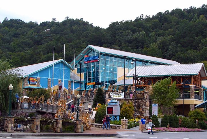 Ripley’s Aquarium Of The Smokies