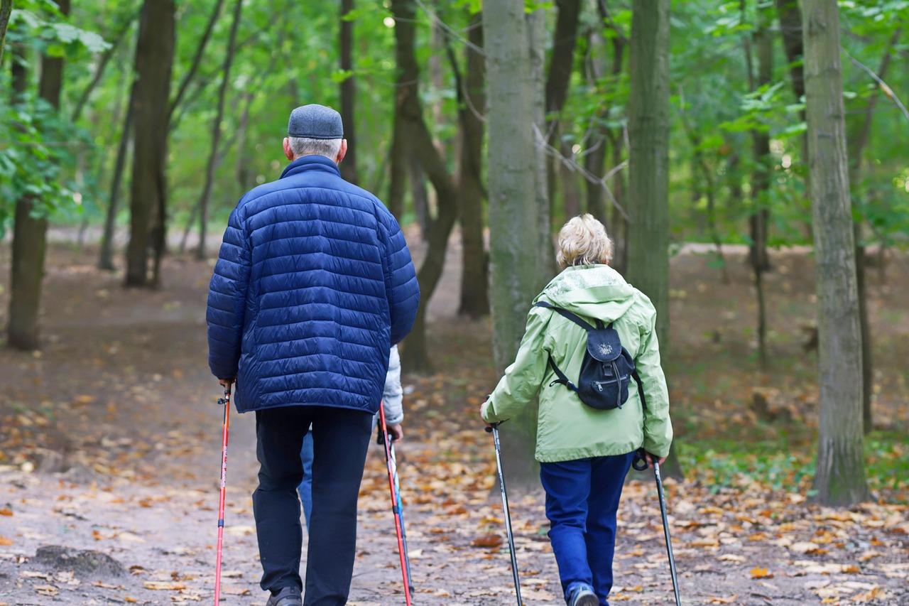 couple, elderly, trekking, forest, people, senior, walking sticks, recreation, adventure, path, nature, outdoors, trees, woods, fall, autumn, elderly, elderly, elderly, elderly, elderly, people, senior, senior, senior, senior, senior, walking sticks