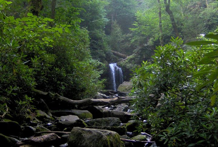 Roaring Fork Motor Nature Trail
