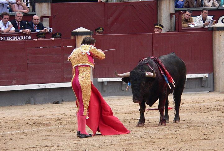 Myth: Bulls Charge At Moving Red Objects