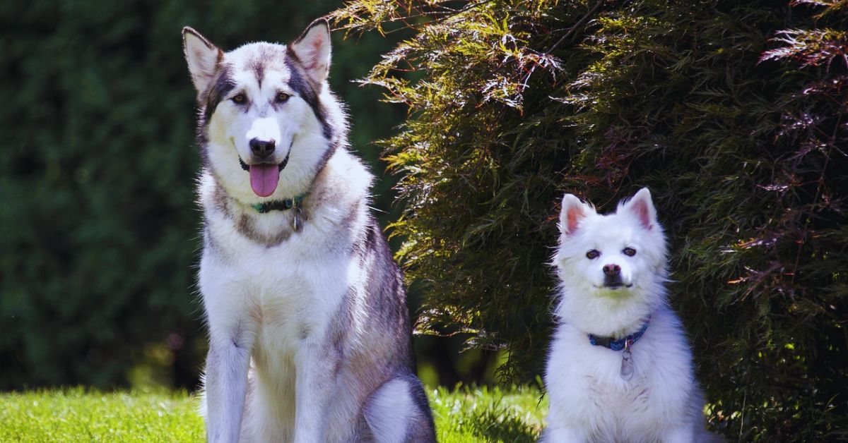 10 Ways The Native American Indian - Msn Feature 1 10 