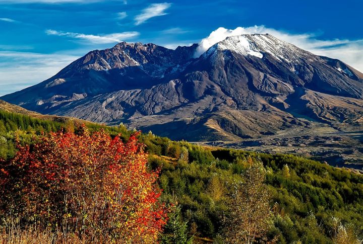 10 U.S. Regions Where Wildlife Thrives With Little Human Interference