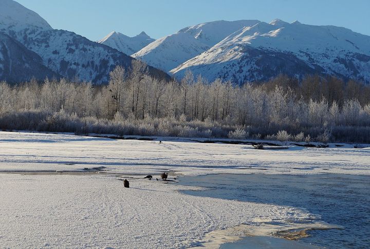 Alaska