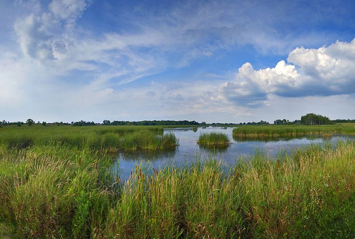 Horicon Marsh, Wisconsin