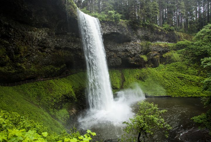 Silver Falls: Silver Falls State Park, Oregon