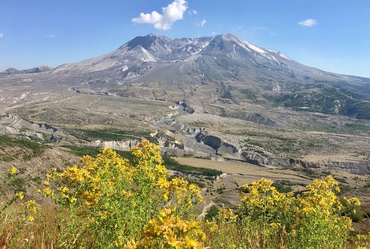 Mount St. Helens Blast Zone, Washington