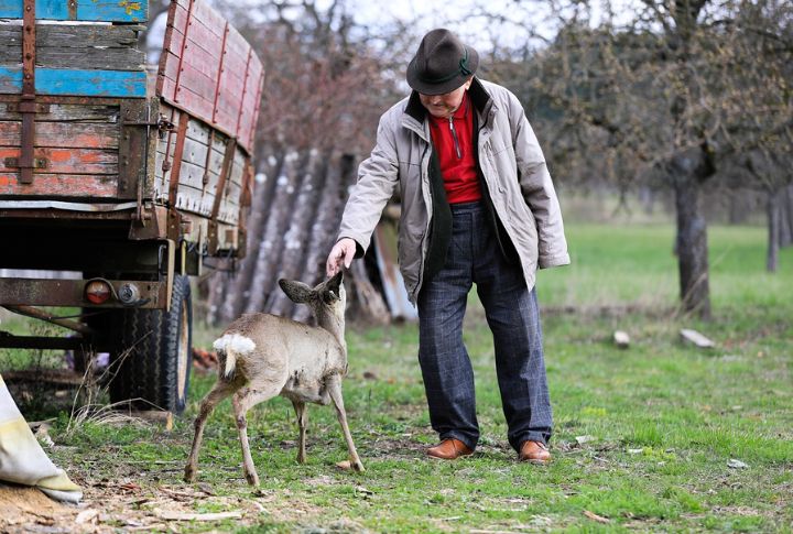 Wildlife Was Just Part Of Life