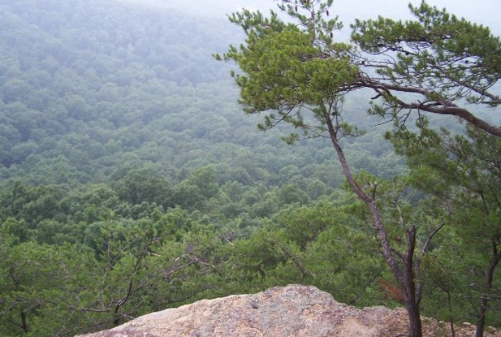 Pilot Knob Nature Preserve