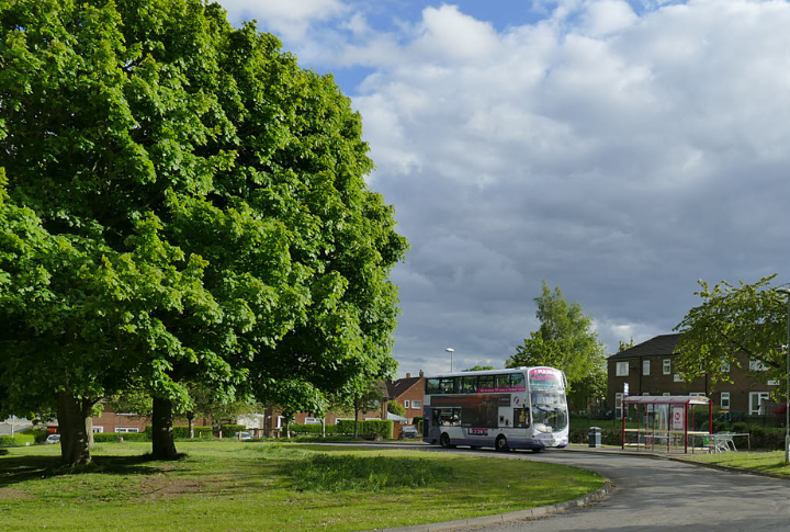 Holt Park