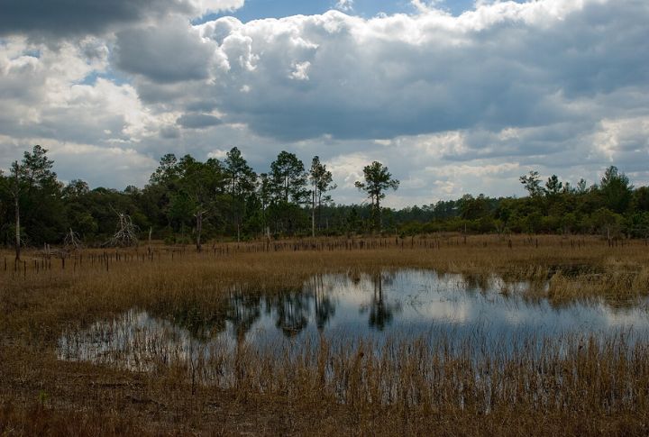 Florida
