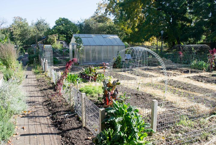 Rethinking The Urban Survival Playbook