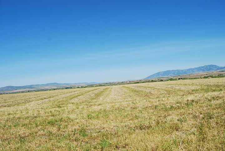 Montana