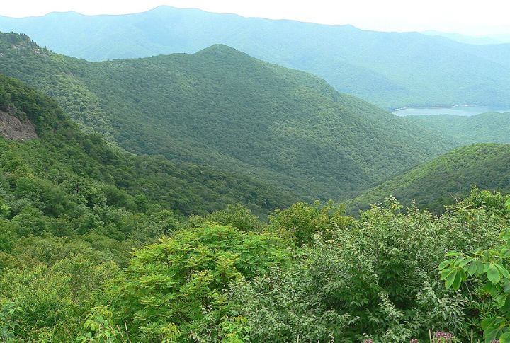 Craggy Gardens