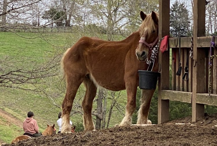 Tennessee