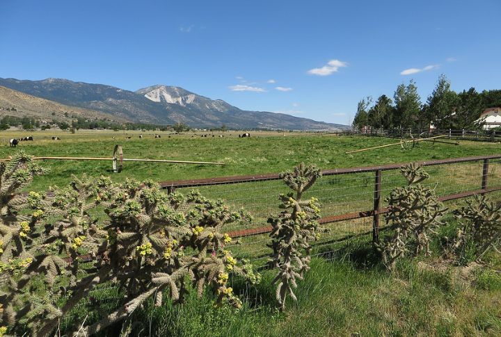Nevada