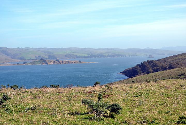 Tomales Bay State Park