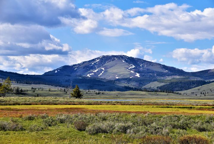 Montana