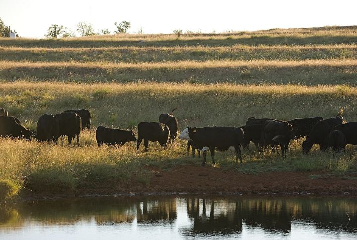 Oklahoma