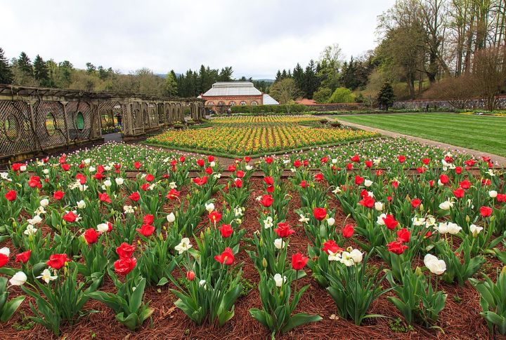 Attend Biltmore Blooms In Asheville, North Carolina