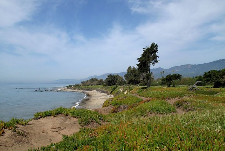 Carpinteria State Beach