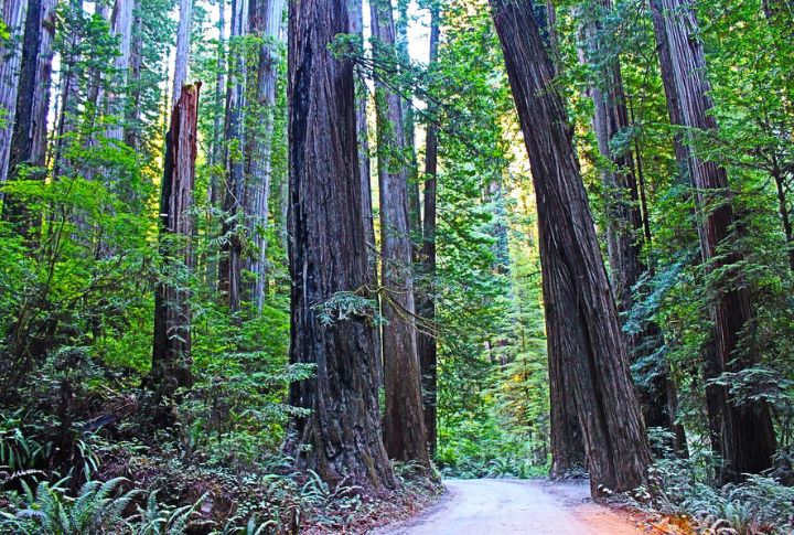 California