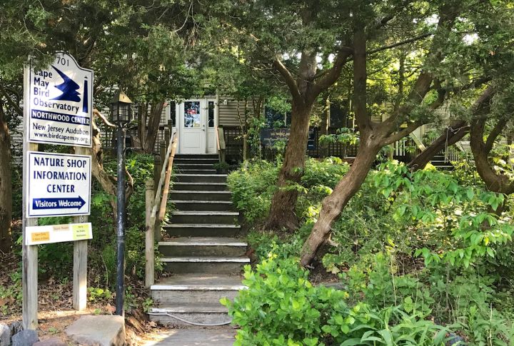 Cape May Bird Observatory, New Jersey