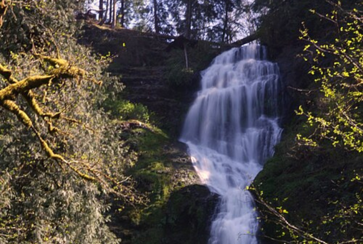 It Is The tallest Waterfall In The Oregon Coast Range