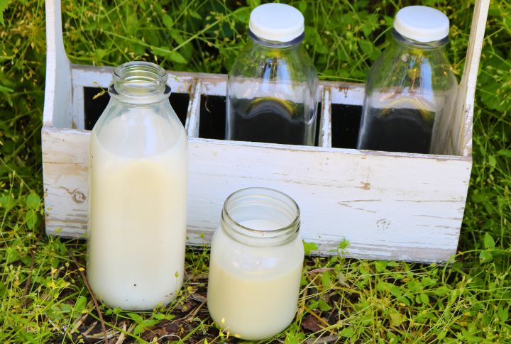 Raw Milk
