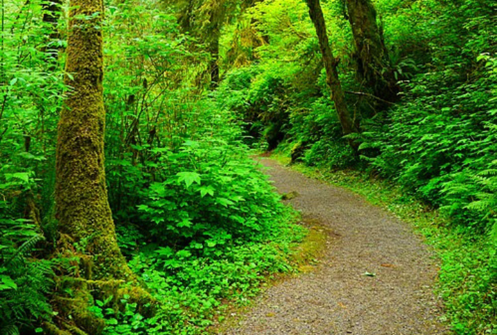 The Trail Is Short And Scenic