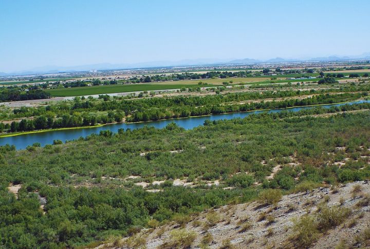 Arizona