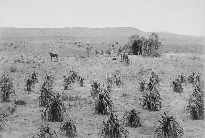 Traditional Agriculture Thrived In The Fertile Canyon Floor