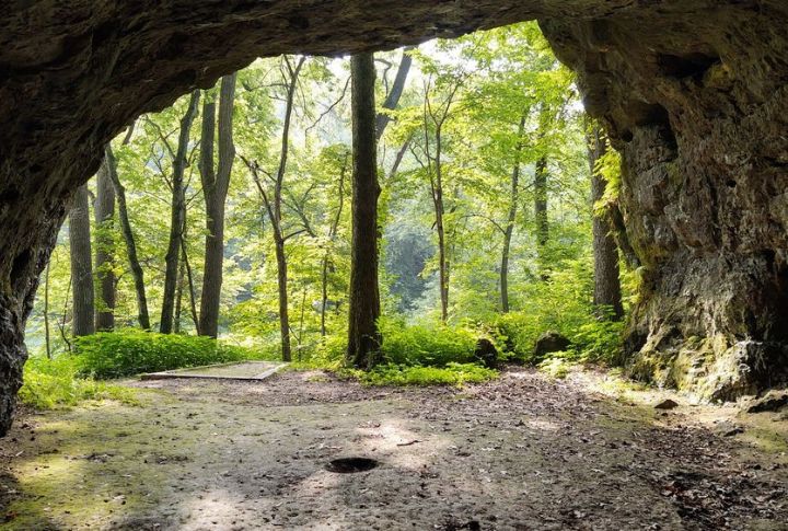 Window Cave