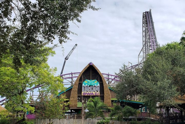 Iron Gwazi, Busch Gardens Tampa