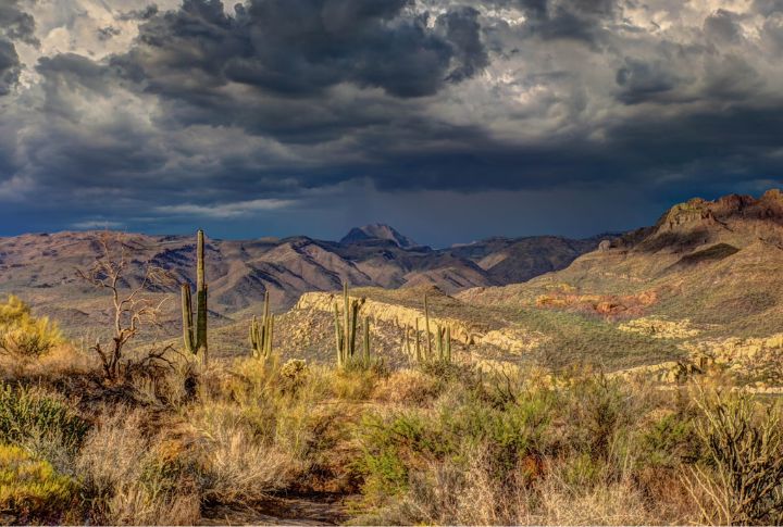 Arizona
