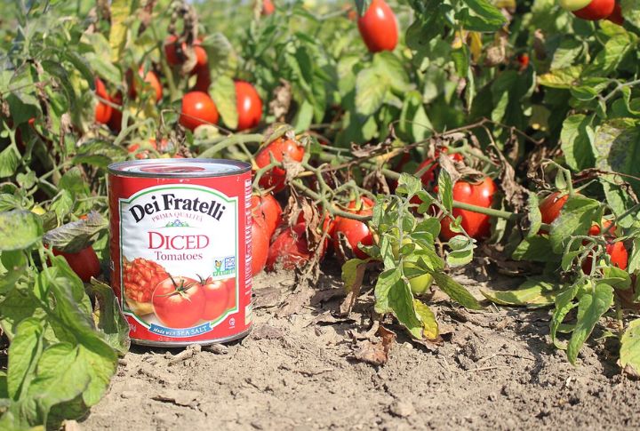 Canned Tomatoes