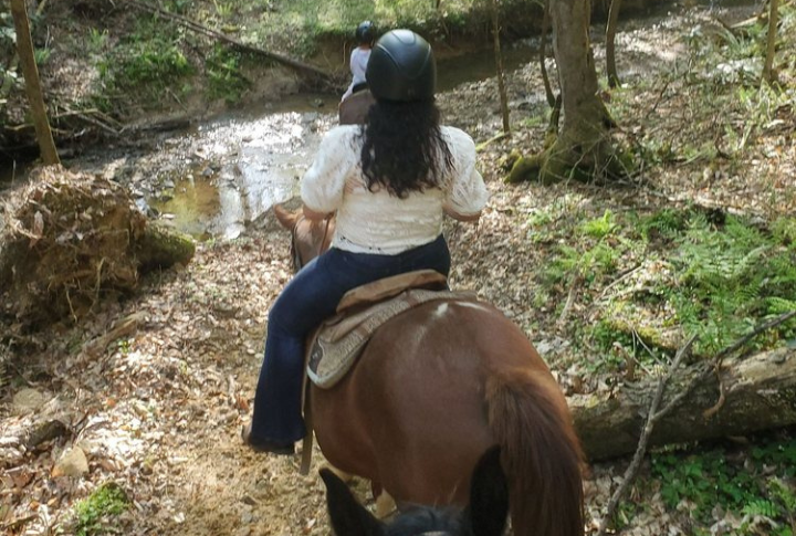 Horseback Riding Through The Forest