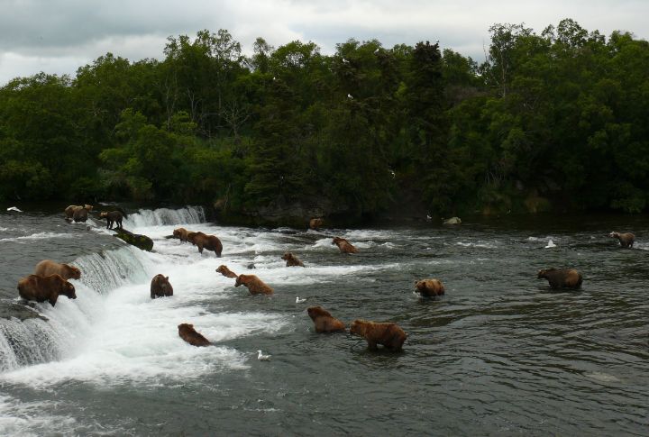 Alaska