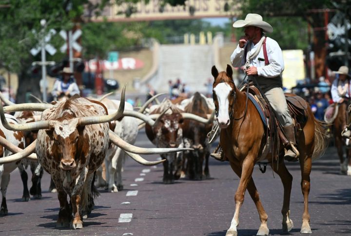 Weatherford's Cutting Horses Move Millions