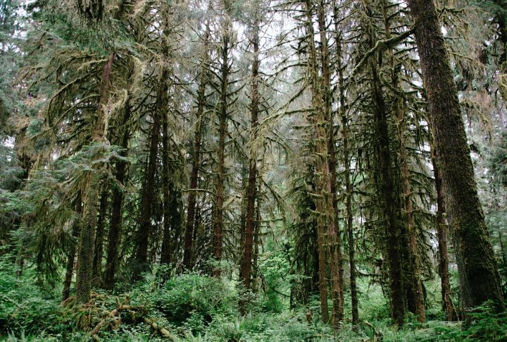 Washington