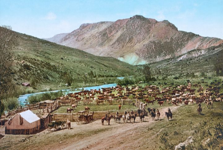 Colorado