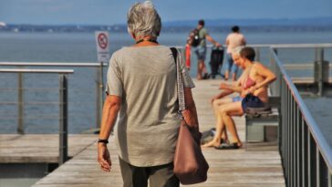 bodensee, lake, older person, nature, the pier, relaxation, senior, holiday, perspective, peace of mind, water, walk, rest, clothing, vacations, the person, gray hair, head, looking for, people, thinking, lonely, meeting, gray, quiet, alone