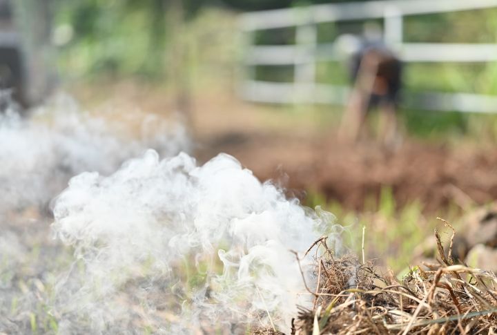 Burning Trash In Your Backyard