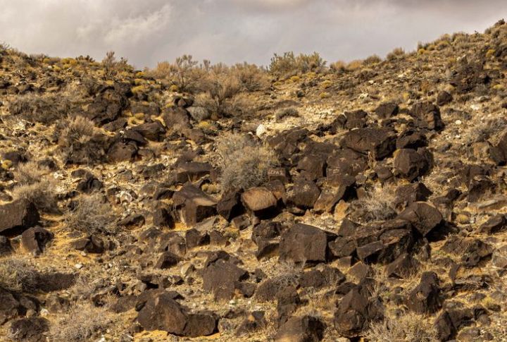 Petroglyph National Monument